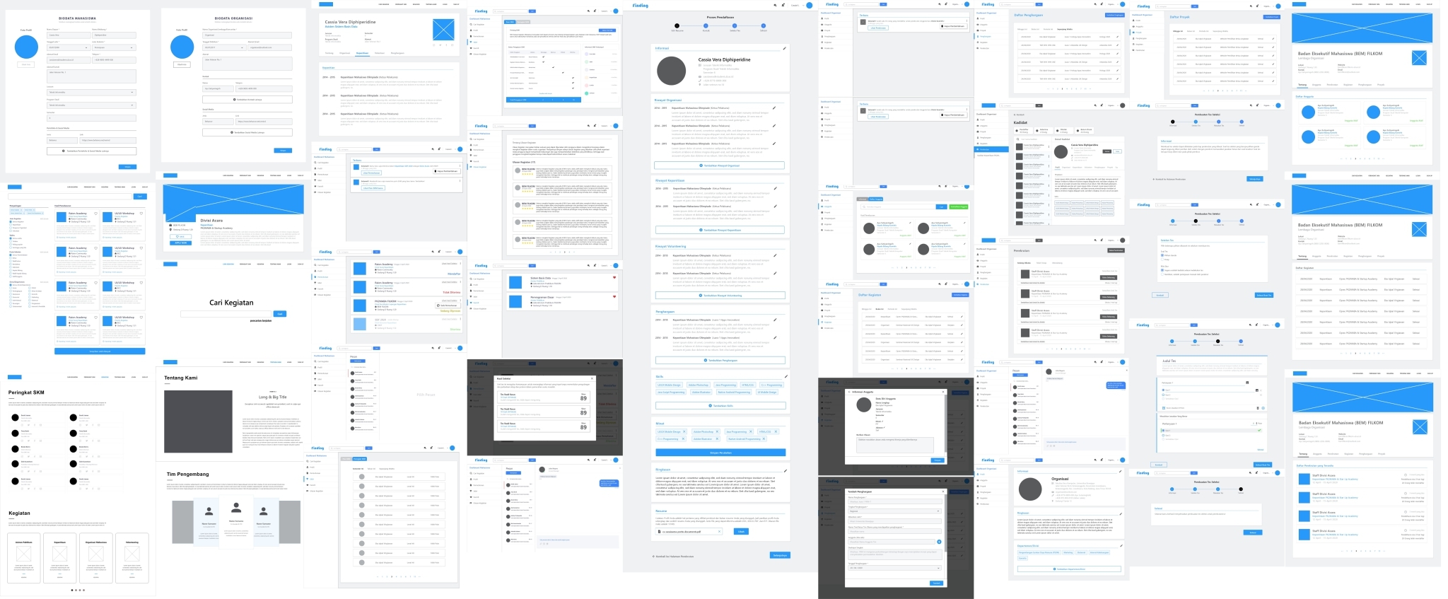 Wireframe